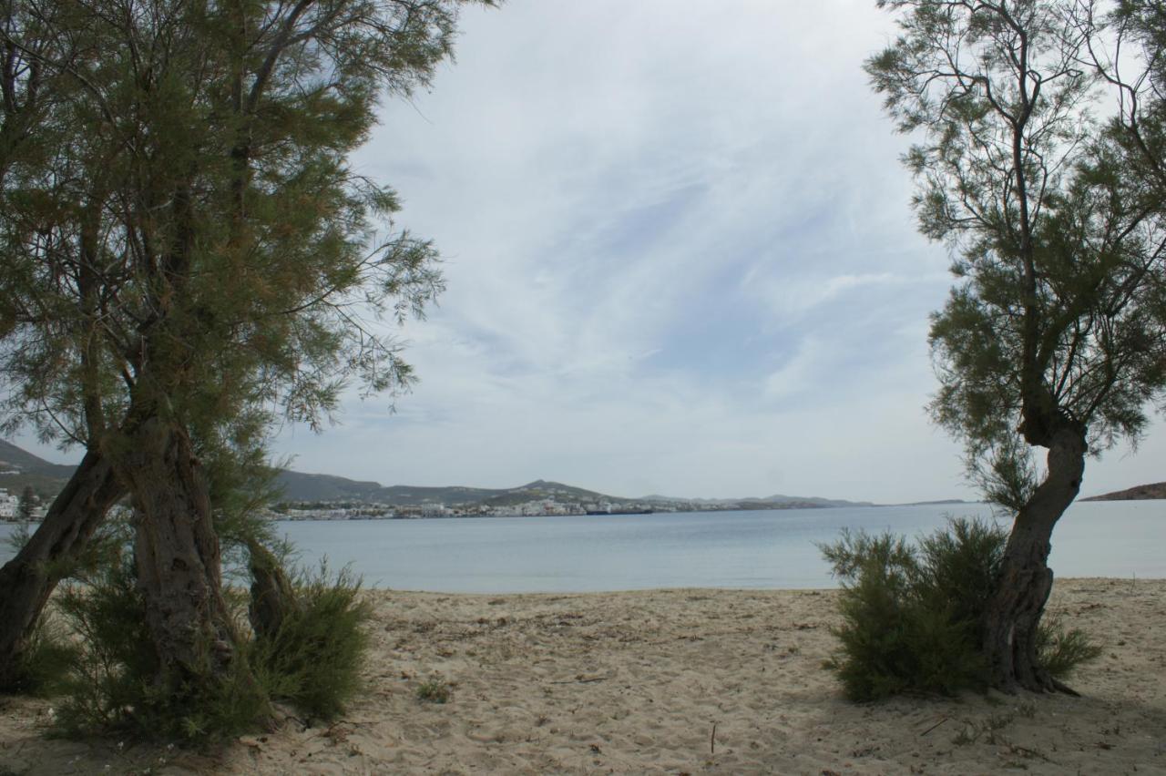 Ξενοδοχείο Ελευθερία Πάρος Εξωτερικό φωτογραφία